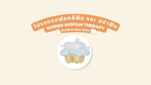 Tooth Journey Pro6