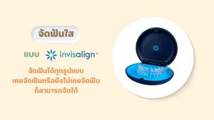Tooth Journey Pro8