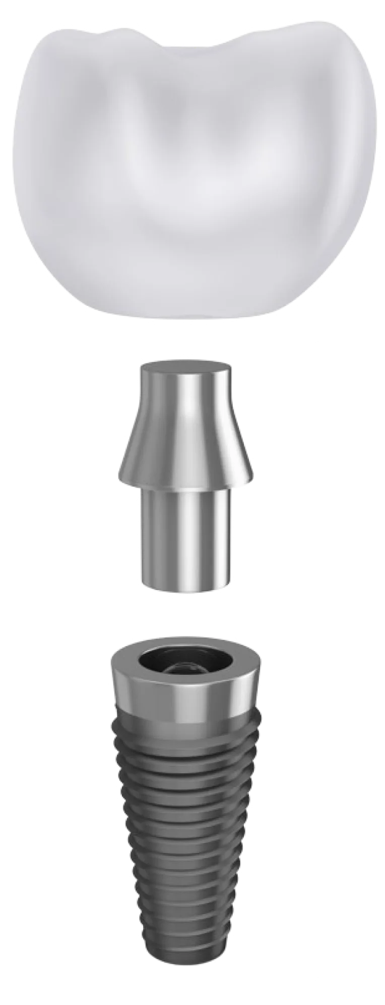 tooth-implant-disassembled-form_1-removebg-preview 1